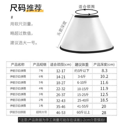 从指令到市场 优化宠物赛事用品关键词的完整策略